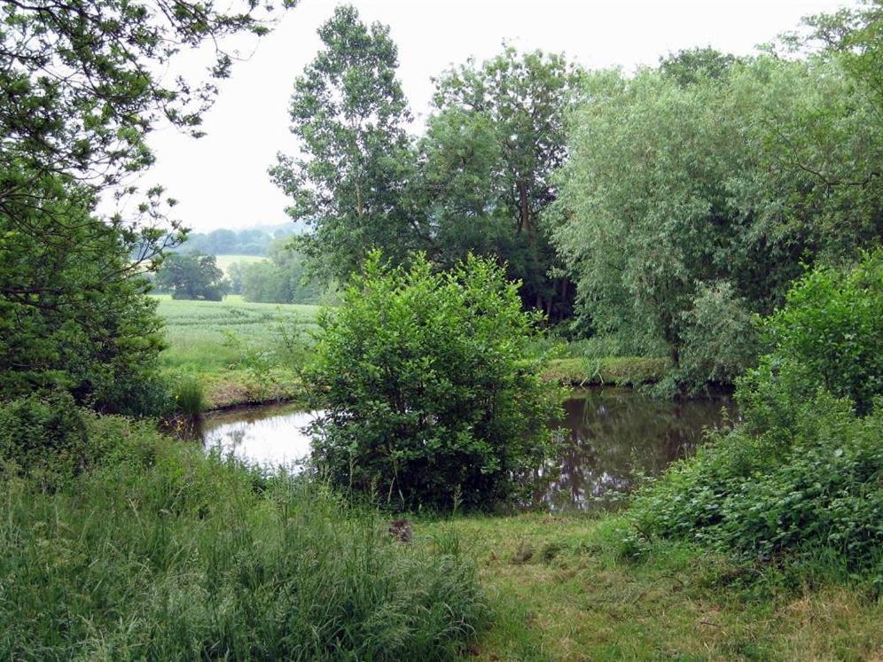 Elephant Cottage Edwin Loach Exteriér fotografie